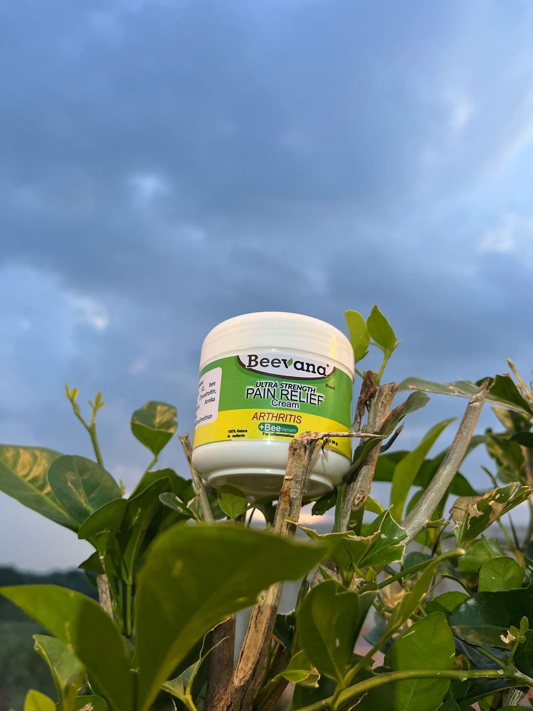 Crema Beevana